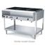 Vollrath 38002 Hot Food Table 2 Wells Individual Sealed Wells with Drains 480 Watts per Well ServeWell Series