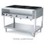 Vollrath 38102 Hot Food Table 2 Wells Individual Sealed Wells with Drains 700 Watts Per Well ServeWell Series